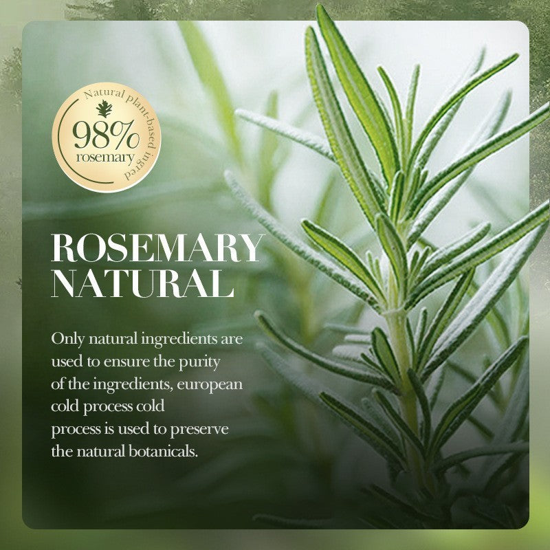 Rosemary Mint Hair Care Range: Shampoo, Conditioner, Mask and Oil