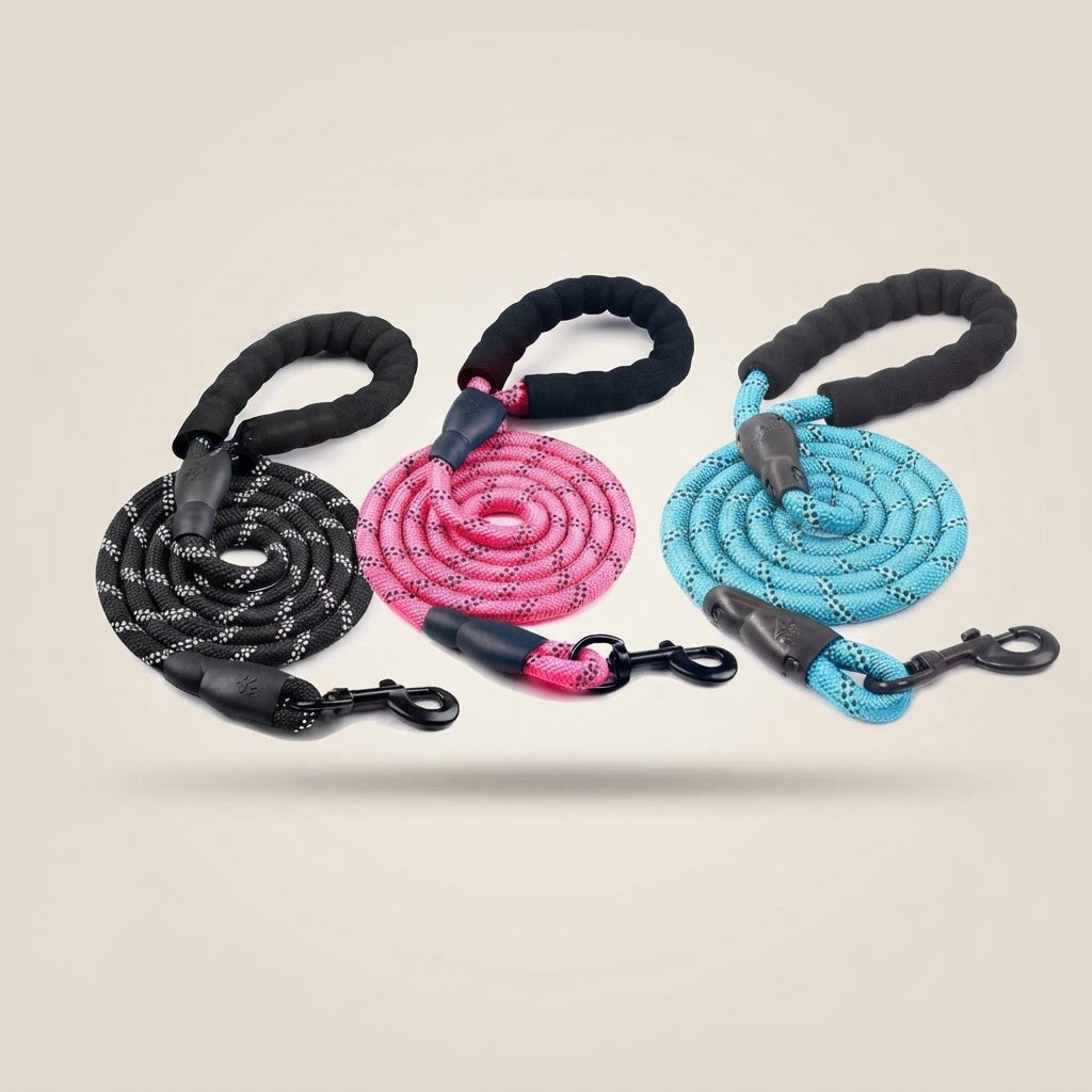 Reflective Adjustable Dog Leash and Collar Set